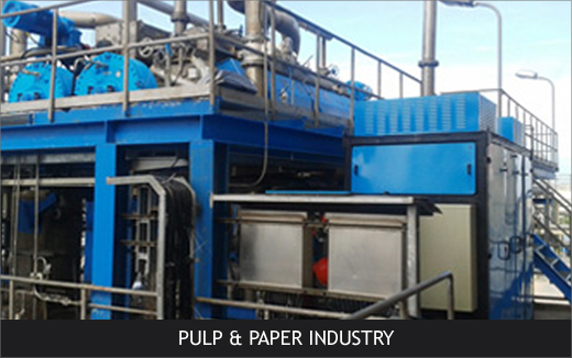 PULP&PAPER-INDUSTRY (1)